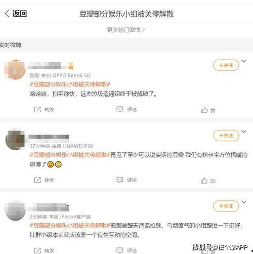娱乐吃瓜除了豆瓣还有谁,除了豆瓣，还有哪些平台助你吃瓜不停
